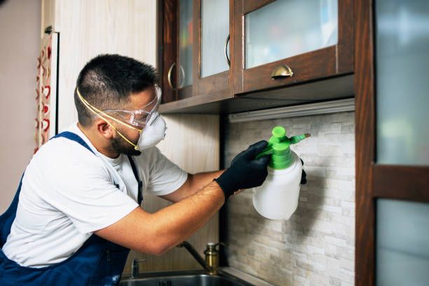 Best Termite Control Services  in Hudson, TX