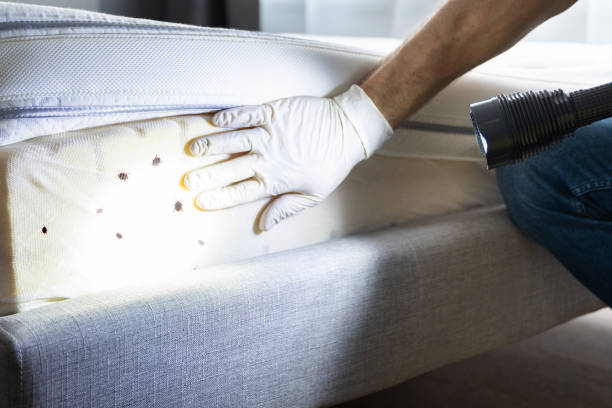 Best Exterminator Services  in Hudson, TX