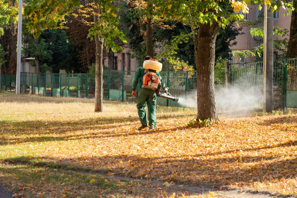 Best Pest Control for Restaurants  in Hudson, TX