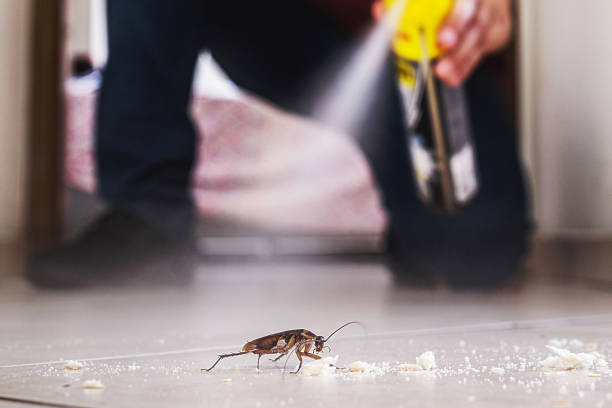 Best Affordable Pest Control Services  in Hudson, TX