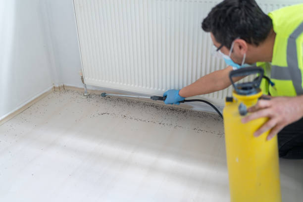 Best Affordable Pest Control Services  in Hudson, TX